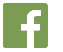 logo facebook artificielles.com, spcialiste des plantes et fleurs artificielles