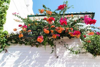 amnagement balcon fleurs artificielles