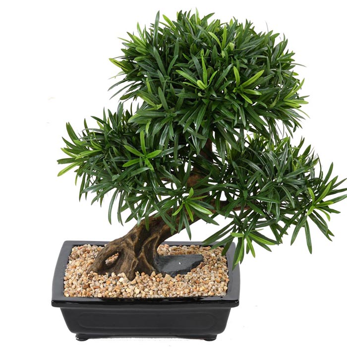 bonsa artificiel podocarpus