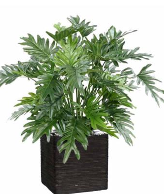 Rosier artificiel en pot H 30 cm adorable